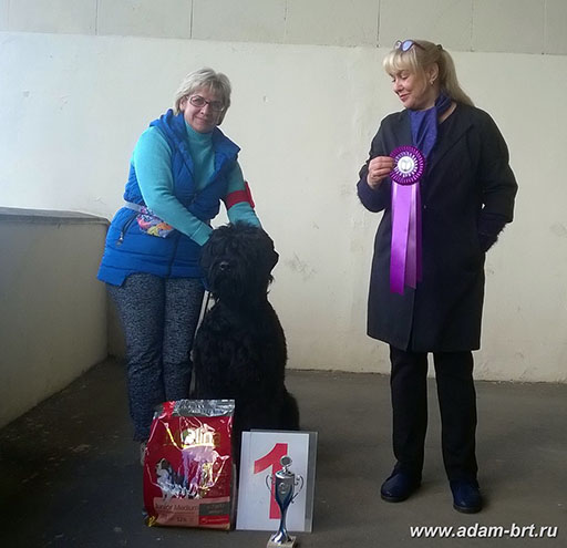 Adam Racy Style RUS VELIKAYA - First place in competition “HOPE OF RUSSIA“!!!