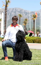 Adam Racy Style RUSLAN - JUNIOR CHAMPION OF BOSNIA AND GERTSEGOVINA!