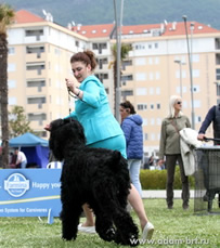 Adam Racy Style RUSLAN - JUNIOR CHAMPION OF BOSNIA AND GERTSEGOVINA!