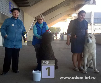 Adam Racy Style RYTSAR SVETA - First place in competition HOPE OF RUSSIA!!!