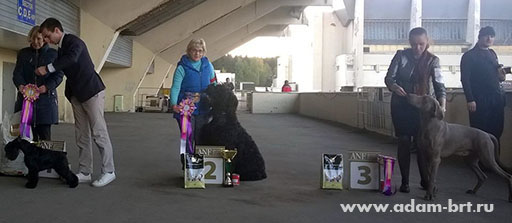 Adam Racy Style RYTSAR SVETA - Second place in BEST JUNIOR!!!