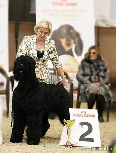 Adam Racy Style RYTSAR SVETA - Best Junior!!!