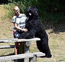 Adam Racy Style RUSLAN - CHAMPION OF SERBIA!!!