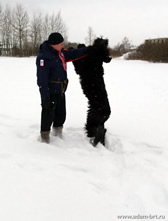 Adam Racy Style RICHARD