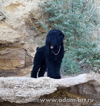 Adam Racy Style RICHARD in the Crimea!