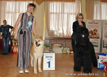 Adam Racy Style RYTSAR SVETA - second BEST JUNIOR IN SHOW!