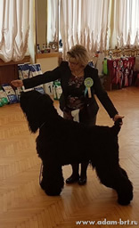 Adam Racy Style MATVEY - CHAMPION OF EASTERN EUROPE!