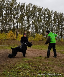 Adam Racy Style RUSSKIY ROK on the training ZKS!