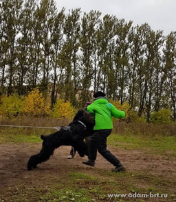 Adam Racy Style RUSSKIY ROK on the training ZKS!