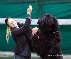 Adam Racy Style RUSLAN - CHAMPION OF MONTENEGRO!