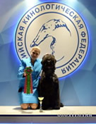 Adam Racy Style HARVARD - BEST PUPPY OF BREED OF RUSSIA DOG SHOW!