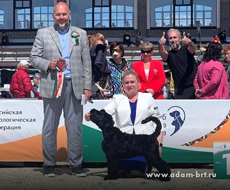 Adam Racy Style  -      !    !