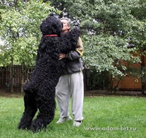 Adam Racy Style RYTSAR SVETA is ready to new victories!!!