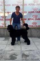 Adam Racy Style SENSATSIA — CANDIDATE TO JUNIOR CHAMPION OF KAZAKHSTAN!