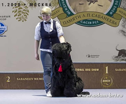 Adam Racy Style   - , , , , ,    !