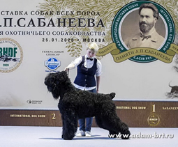 Adam Racy Style  -     !