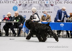 Adam Racy Style  - , , , ,   !