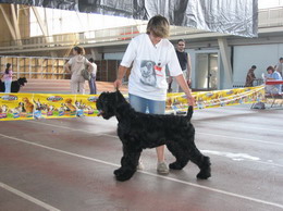 Moskvorechye ARIADNA DOCH ADAMA