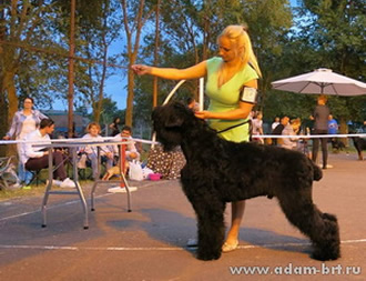 Adam Racy Style RUSLAN - CANDIDATE TO CHAMPIONS OF SERBIA!!!