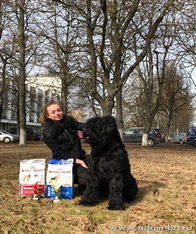 Adam Racy Slyle SOLARIS - BEST OF BREED!