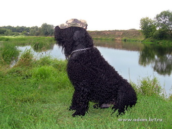 Adam Racy Style  -     !     ,   !