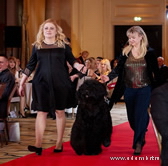 Adam Racy Style   () -           !