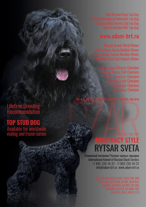 Adam Racy Style   -     !    !  ,     !