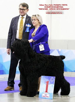 Adam Racy Style RYTSAR SVETA - JUNIOR CHAMPION OF EURASIA (HD-A/A, ED-0/0)!