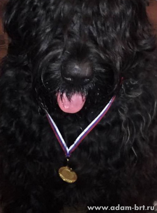 Adam Racy Style TANGO!