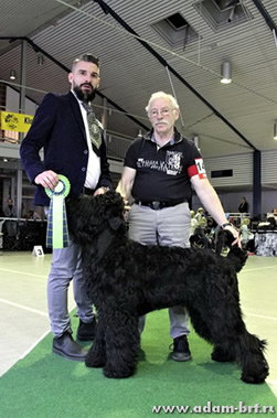 Adam Racy Style URAGAN - JUNIOR CHAMPION OF GERMANY!!!