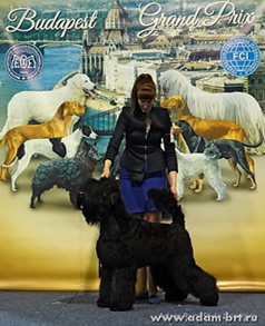 Adam Rasy Style UVERTURA - CHAMPION OF HUNGARY!