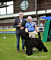 Adam Racy Style URAGAN - JUNIOR CHAMPION OF KFT AND VDH GERMAN FEDERATIONS!