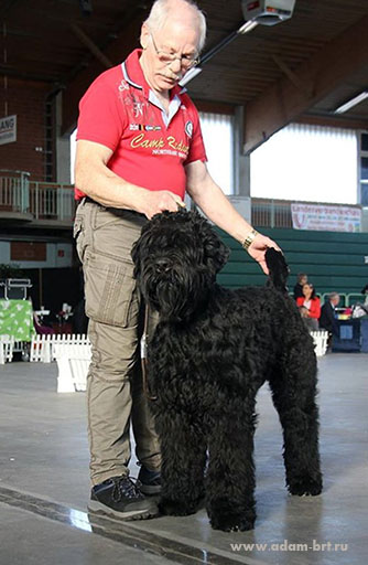 Adam Racy Style URAGAN - BEST PUPPY OF BREED!!!