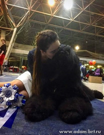 Adam Racy Style DAVID - favourite of Judge!