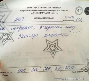 Adam Racy Style DAVID - favourite of judge!