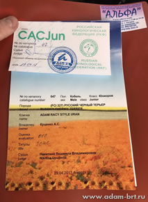 Adam Racy Style URAN - BEST MALE JUNIOR!