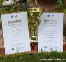 Adam Racy Style URAGAN - JUNIOR WINNER OF ANNUAL TROTHY-SHOW!!!