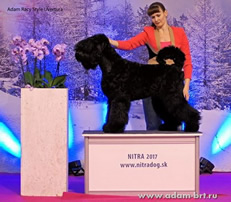 Adam Racy Style UVERTURA!