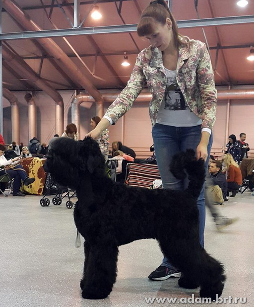 Adam Racy Style UVERTURA