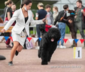 Adam Racy Style  () -   !      !