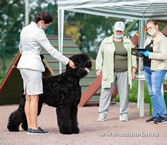 Adam Racy Style  () -   !      !