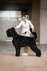 Adam Racy Style  () -   !    !    !     !