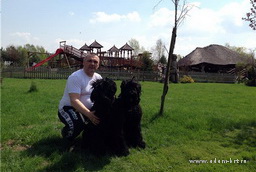 ADAM RACY STYLE BERENIS - THE BEST JUNIOR OF BREED