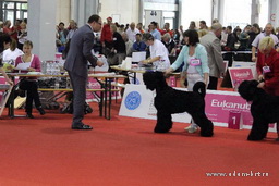 ADAM RACY STYLE BERENIS - THE BEST JUNIOR OF BREED