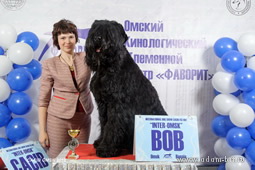 Adam Racy Style ZLATOSLAV - THE BEST OF BREED OF INTERNATIONAL DOG SHOW!