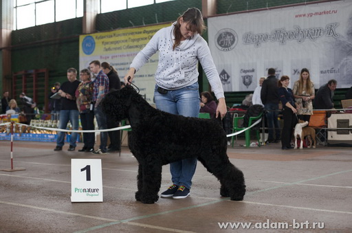 Adam Racy Style DELIZ!