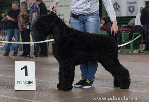 Adam Racy Style DELIZ!