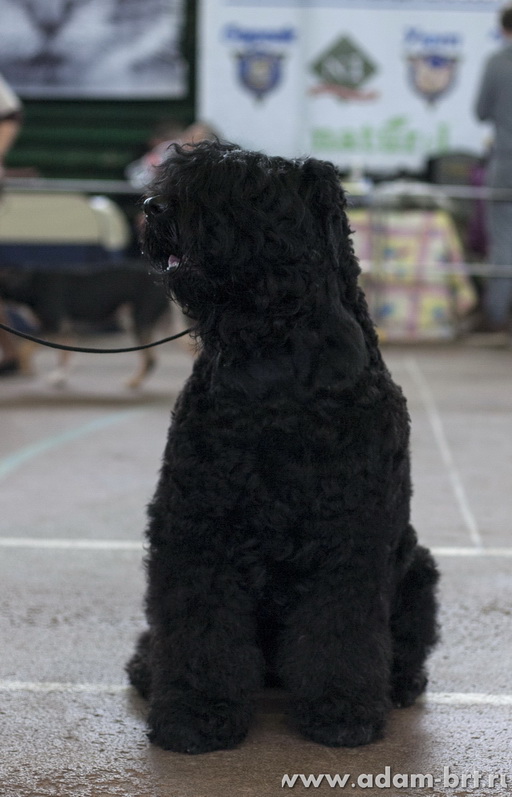 Adam Racy Style DELIZ!