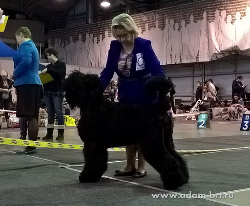 Adam Racy Style ROSSYIA VELIKAYA  THE CHAMPION OF FEDERATION!!!