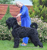 ADAM RACY STYLE SOLARIS - CHAMPION OF BELARUS!!!